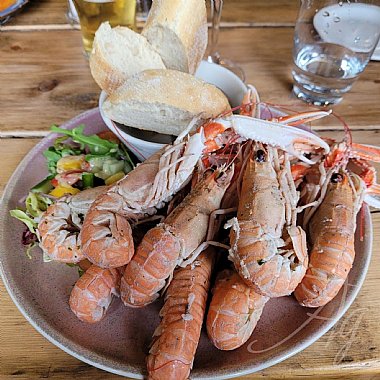 Plate of langoustines