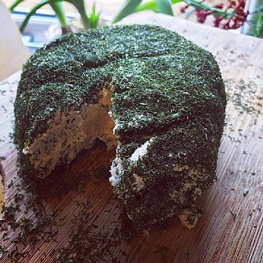 Left Coast Culture cheese