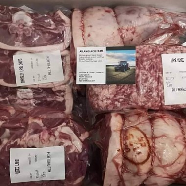 Selection of lamb cuts