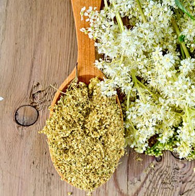 Elderflower
